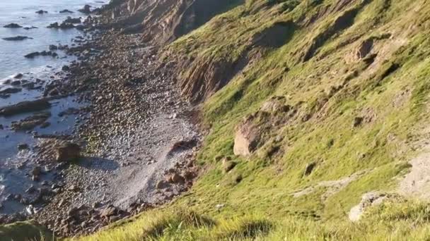 Klipp Med Vegetation Och Vik Utan Tillträde Kantabriska Havet — Stockvideo