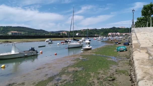 Barcos Atracados Estuario Plencia Soleado Día Verano Marea Baja — Vídeos de Stock