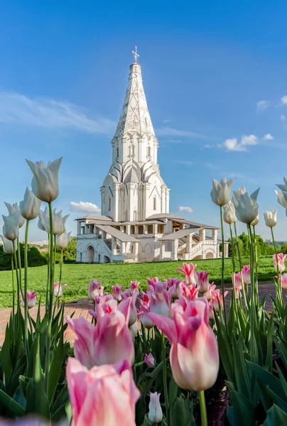 Virágzó Tulipánok Múzeum Rezervátumban Kolomenskoye Felemelkedés Temploma Moszkva Oroszország Jogdíjmentes Stock Képek