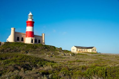Afrika 'nın en güneyindeki Cape Agulhas' taki deniz feneri. Atlantik ve Hint okyanuslarının birleştiği yer.