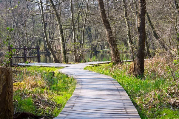 Plankway Través Del Bosque Alrededor Del Río Briese Cerca Berlín —  Fotos de Stock