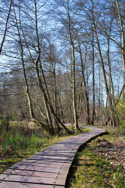 Berlin yakınlarındaki Briese nehri etrafındaki ormandan geçen plankway, kışın Almanya