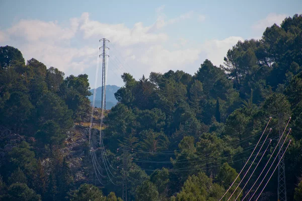 Grazalema, Endülüs ve İspanya 'da ormanı kesen elektrik hatları