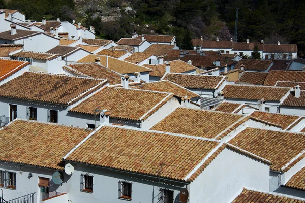 Modelli Tetto Del Villaggio Bianco Andaluso Grazalema Spagna — Foto Stock