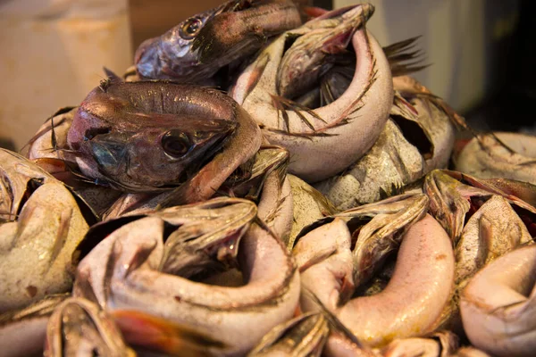 Scabbardfish Puesto Mercado Cádiz Andalucía España —  Fotos de Stock