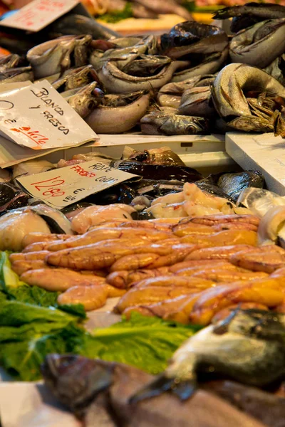 Poisson Fourreau Seigle Sur Marché Cadix Andalousie Espagne — Photo