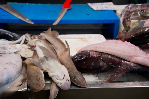 Saumons Rocheux Sur Stand Marché Poissonnerie Cadix Andalousie Espagne — Photo