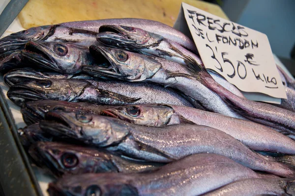 Pescada Europeia Merliccius Merluccius Banca Mercado Peixeiro Cádiz Andaluzia Espanha — Fotografia de Stock