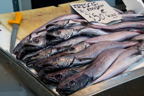 Merluza Europea Merliccius Merluccius Puesto Del Mercado Pescadería Cádiz Andalucía —  Fotos de Stock