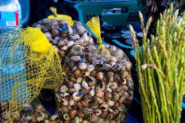 Cadiz, İspanya ve Endülüs 'te pazarda yabani kuşkonmaz ve salyangoz