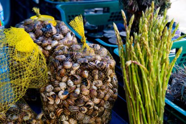 Cadiz, İspanya ve Endülüs 'te pazarda yabani kuşkonmaz ve salyangoz