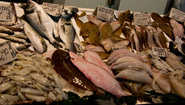 Peixe Mediterannean Variado Com Etiquetas Prêmio Barraca Mercado Fishmonger Cadiz — Fotografia de Stock