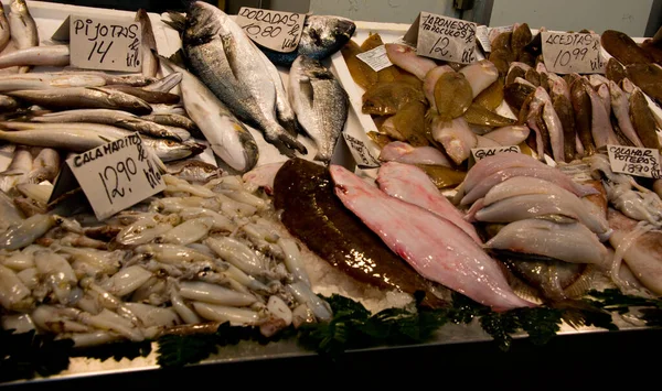 Poissons Méditeranéens Assortis Avec Des Étiquettes Prix Stand Marché Poissonnerie — Photo