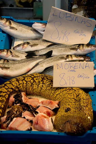 Morena Mediterránea Anguila Romana Muraena Helena Puesto Del Mercado Pescaderías —  Fotos de Stock