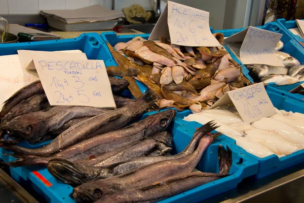 Merluza Europea Merliccius Merluccius Puesto Del Mercado Pescadería Cádiz Andalucía —  Fotos de Stock