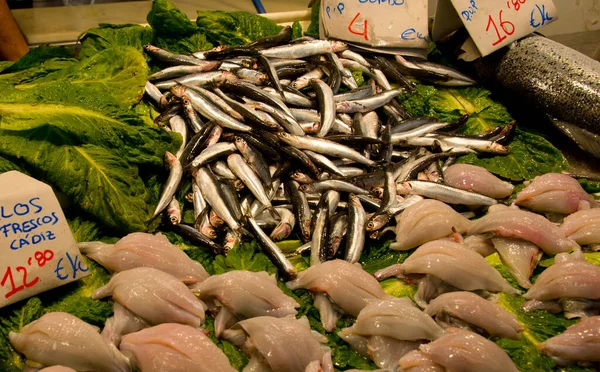 Peixe Mediterannean Variado Com Etiquetas Prêmio Barraca Mercado Fishmonger Cadiz — Fotografia de Stock