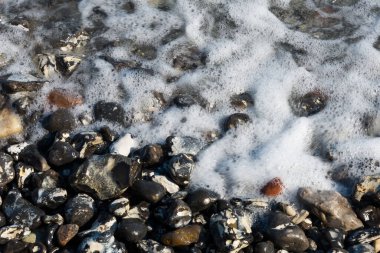 Ruegen, Mecklenburg-Batı Pomerania sahillerinde çakıl taşları, Almanya