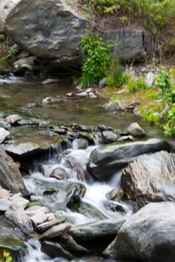 Sierra Nevada 'da dere, Endülüs, İspanya