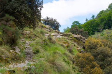 Sierra Nevada 'daki dağ yolu, Endülüs, İspanya
