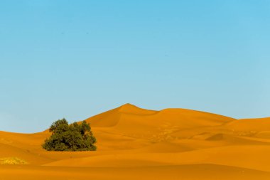 Sahara Kumulları Erg Chebbi, Fas 'ta.