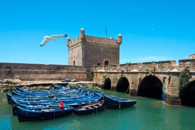 Essaouira limanında demirli balıkçı tekneleri, Fas
