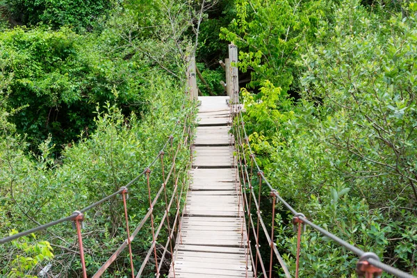 Pont Suspendu Planches Sierra Nevada Andalousie Espagne — Photo