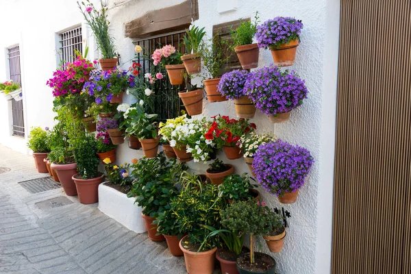 Casa Decorata Con Vasi Fiori Nella Città Capileira Sierra Nevada — Foto Stock