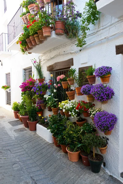 House Decorated Flowerpots Capileira Town Sierra Nevada Spain — Stock Photo, Image