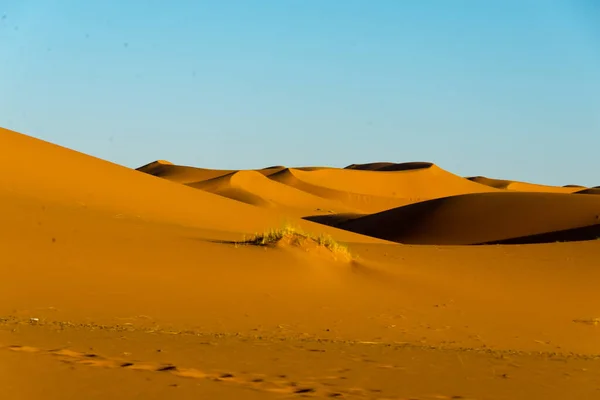 Sahara Sanddyner Erg Chebbi Morocco — Stockfoto