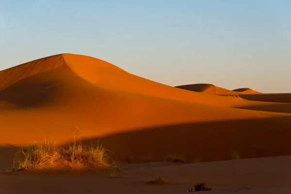 Sahara Sanddyner Erg Chebbi Morocco — Stockfoto