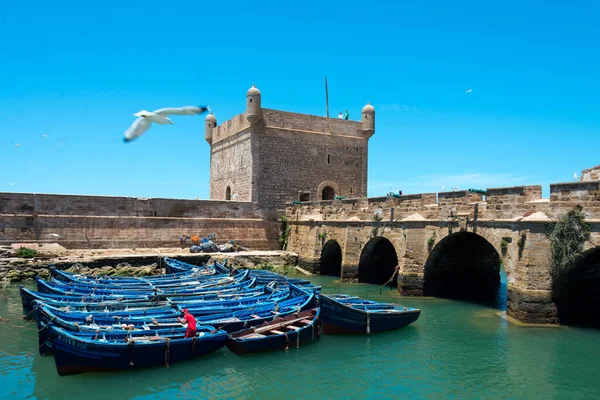 Essaouira limanında demirli balıkçı tekneleri, Fas
