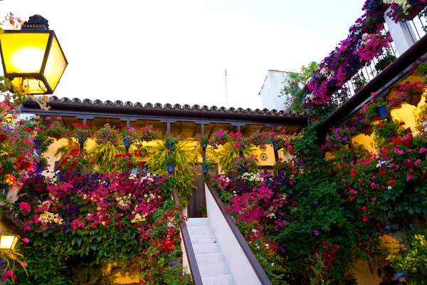 Tradicional Pátio Decorado Com Flores Córdoba Espanha Duriing Festival Los — Fotografia de Stock