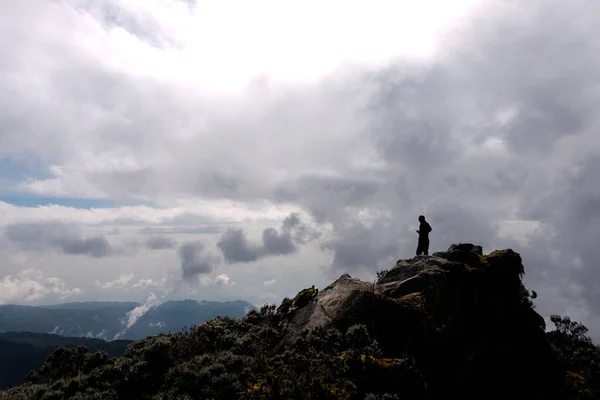 Силуэт Одинокого Человека Вершине Горах Рувензори Уганда — стоковое фото