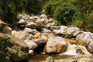 Ruwenzori dağlarında nehir yatağı, Uganda