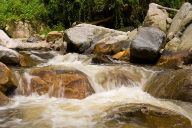 Ruwenzori dağlarında akıntılar, Uganda