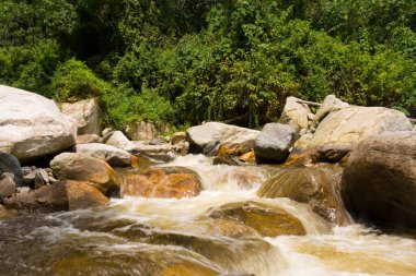 Ruwenzori dağlarında akıntılar, Uganda