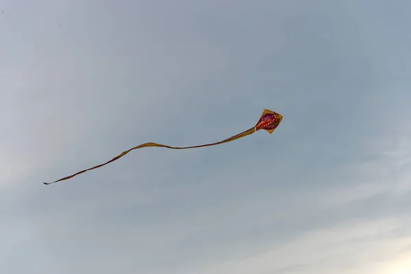 曇り空の凧 — ストック写真