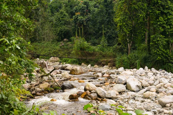 Lecho Del Río Con Puente Las Montañas Ruwenzori Uganda —  Fotos de Stock