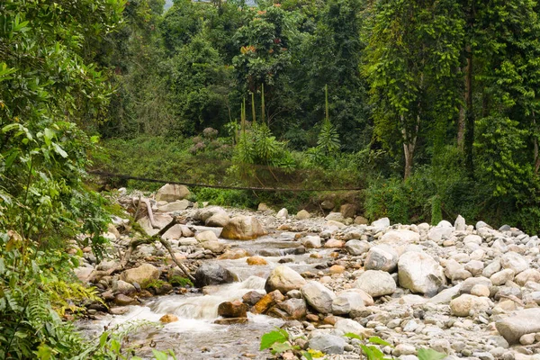 Lecho Del Río Con Puente Las Montañas Ruwenzori Uganda —  Fotos de Stock