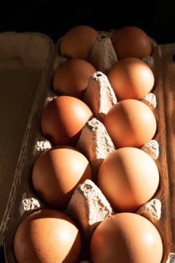 Tavuklu yumurtalar tepside Güneşe yakın