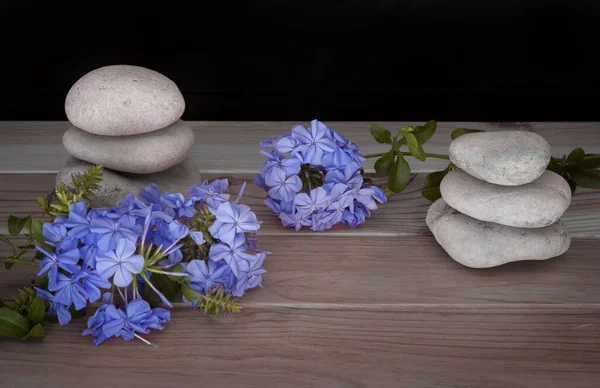 zen scene with blue flowers and stacked stones on light wood and black background