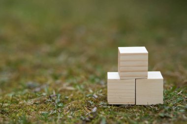 Üzerinde boş alan olan tahta bloklar üzerine metin koymak ve kavramlar için kullanılabilecek kopyalama alanı olarak kullanılabilir.