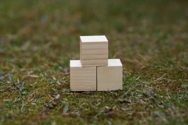 Üzerinde boş alan olan tahta bloklar üzerine metin koymak ve kavramlar için kullanılabilecek kopyalama alanı olarak kullanılabilir.