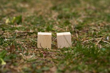 Üzerinde boş alan olan tahta bloklar üzerine metin koymak ve kavramlar için kullanılabilecek kopyalama alanı olarak kullanılabilir.