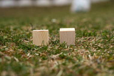 Üzerinde boş alan olan tahta bloklar üzerine metin koymak ve kavramlar için kullanılabilecek kopyalama alanı olarak kullanılabilir.