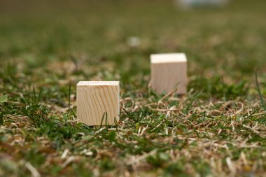 Üzerinde boş alan olan tahta bloklar üzerine metin koymak ve kavramlar için kullanılabilecek kopyalama alanı olarak kullanılabilir.