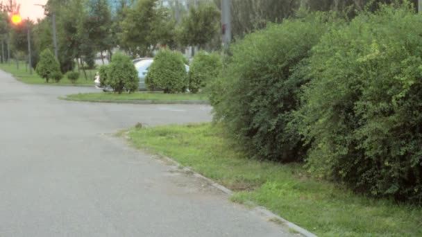 Mulher correndo no parque — Vídeo de Stock