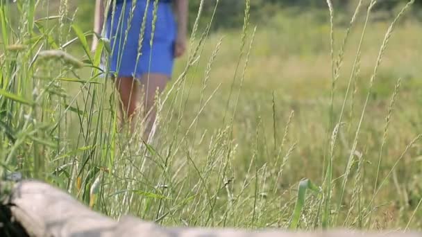 Meisje in het Park wandelen en raakt het gras — Stockvideo