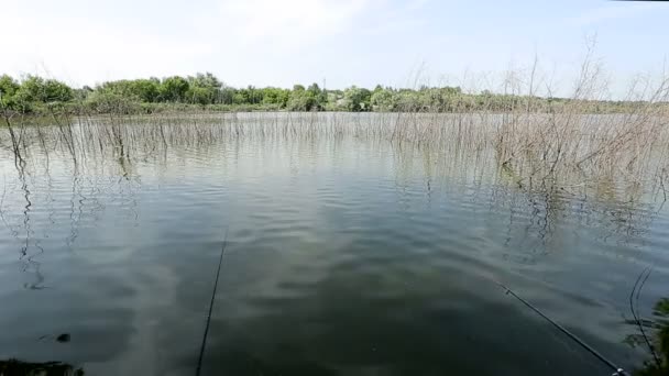 Pesca sul lago. — Video Stock