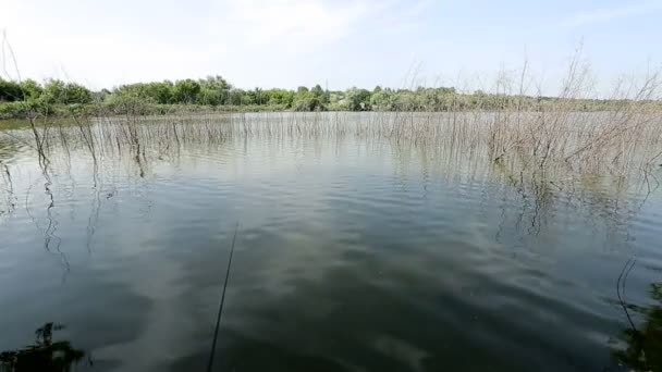 Angeln auf dem See. — Stockvideo